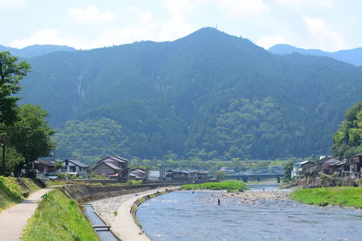 深い緑の山を背に、川原沿いに家々が並ぶ郡上の風景